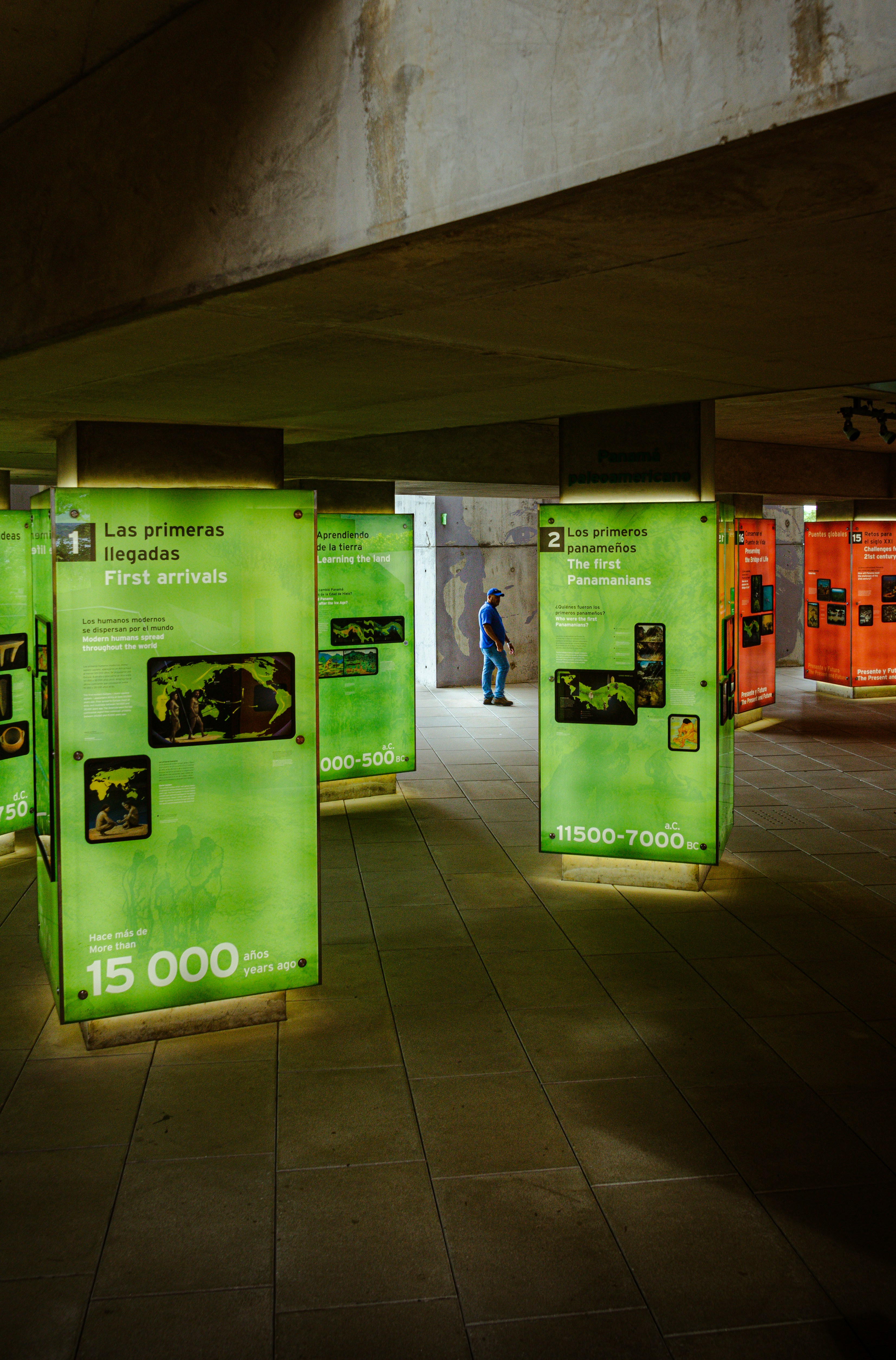 Custom Exhibition Stands